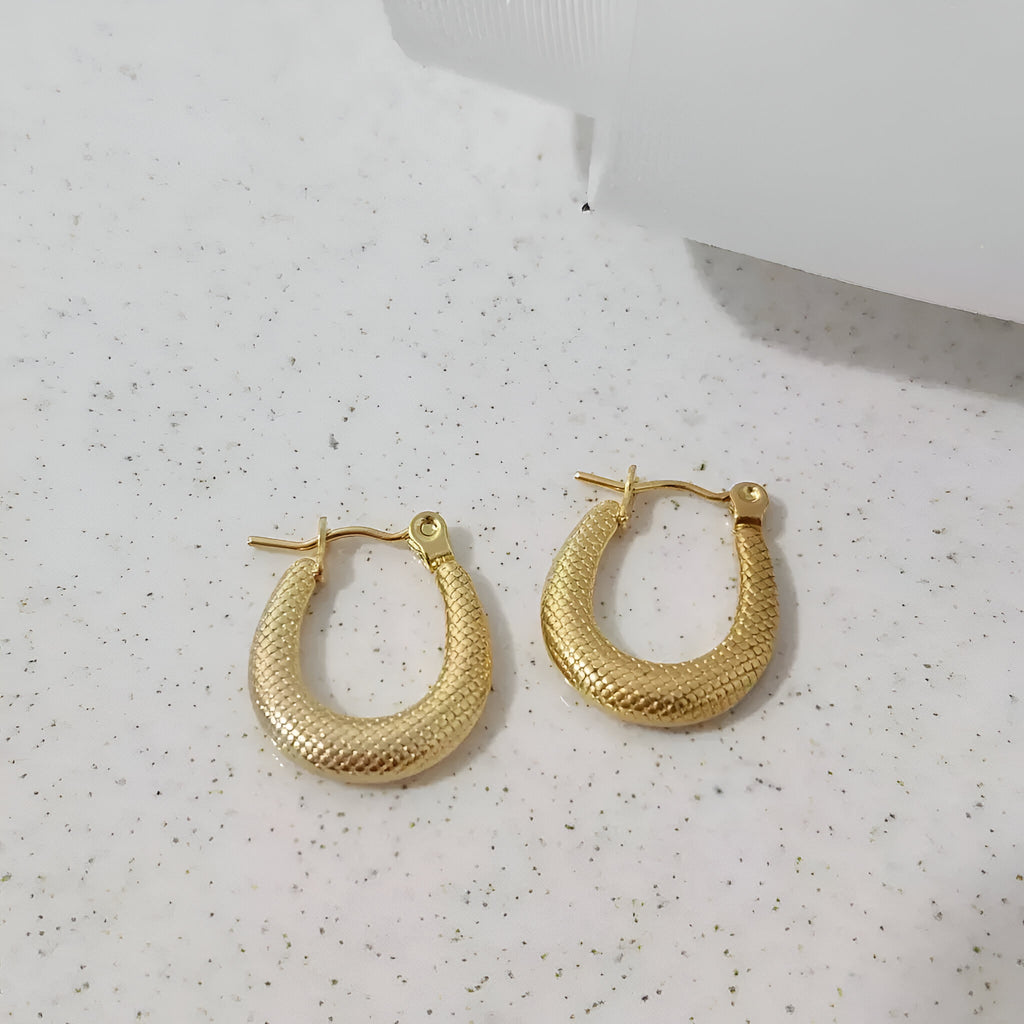 Auri Anti Tarnish Earrings
