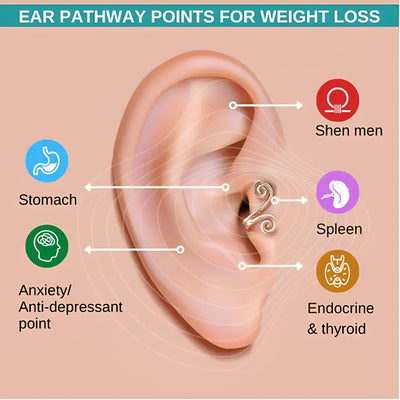 Acupressure Slimming  for Weight Loss Earrings (Pair of 2)